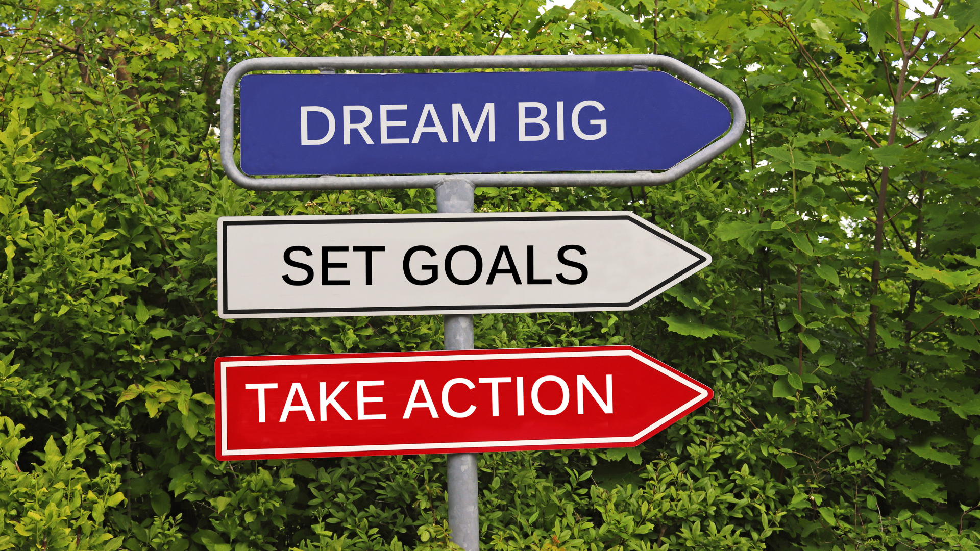 Signs saying Dream Big, set goals take action in front of some shrubbery